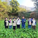 농소1동 주민자치 사회적협동조합 울산신문