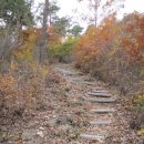 이화산등산로 이미지