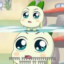 에이스스파랜드 이미지