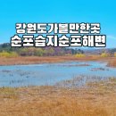 순포리 이미지