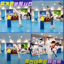 용인대예도태권도 이미지