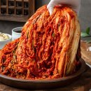 훼미리 쇼핑하우