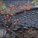 개울건너 이미지