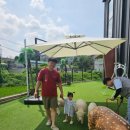 봉담농장 | 봉담 아기랑 갈만한곳 하이애니멀, 18개월미만 무료 실내외 동물체험 동물교감 후기!