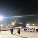 [전방 십자인대 재건술 후기] 십자인대를 두 번 끊은 사람