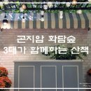 2025 광주 어린이 상상극장 <나무의 아이> | [가을 가족여행] 화담숲 부모님과 아이랑 가기 좋은 코스 &amp; 곤지암리조트 즐길거리