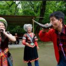 유카리스 이미지