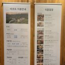 <제천 리솜포레스트> 아이와 숲캉스 후기 | S25 클린 객실, 다람쥐쉼터, 부대시설 이용 솔직후기