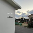 늘 올레 스테이 | 제주도 게스트하우스 1인실 스테이늘랑 조용한 에어비앤비 후기