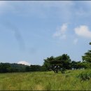 재호목장 이미지