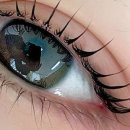 노원-상계-2619 이미지