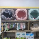 날데려가개 이미지