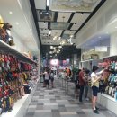 몰리스 놀이터/호텔 이미지