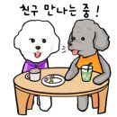 화니중식 이미지