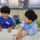 단월초등학교 이미지