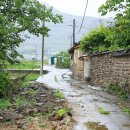 병영다방 이미지