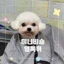 포댕 이미지