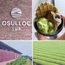 티팩토리 | 남원 오설록 티하우스 티팩토리점 드디어 오픈🍵❤️ 방문 후기