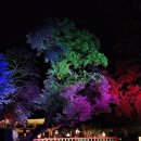 광한루의 밤풍경 이미지