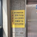 [시시콜콜] 내돈내산 간호학원추천 내수간호학원/와인추천/부모님생일파티/동생이 사다준 런던여행선물