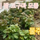 원선농장 이미지