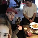 뚱이애견 이미지