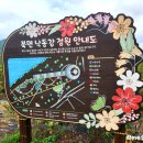 북면생태공원(다목적광장) 이미지