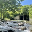 월성계곡 화장실 이미지