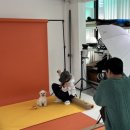 므므스튜디오