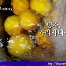 탱자발효액 탱지먹으면 좋아지는 점 탱자효소 만들기 만드는법 이미지