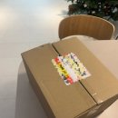 다소다 | 직장인 스텐 도시락통 내돈내산 구매 후기, 다소다도시락통(분리가능, 식기세척기 가능)