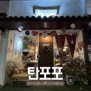 탄포포 | 청주맛집 일식맛집 탄포포 추성훈스테이크 먹어본 후기