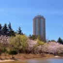 주식회사 신세계센트럴시티 영랑호리조트 | 속초 가성비 좋은 신세계 영랑호 리조트 스탠다드B 객실, 아이와 함께 여행 후기 (조식은 스타벅스에서)