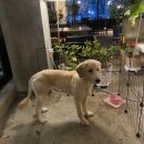 티카페한량 이미지