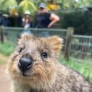 스위트마켓 이미지