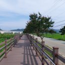 백일홍거리 아이뉴스24