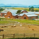 우리소2농장 이미지