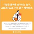 대한정형외과스포츠의학회 네이버블로그
