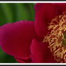 실내체육관 앞 이미지