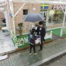 달빛세탁소 이미지