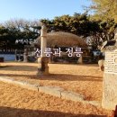 정릉64 | 선정릉 선릉과 정릉 입장료 관람 시간 서울 강남 산책 명소