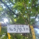 음성궁도장 이미지