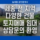 늘세움공인중개사사무소 이미지