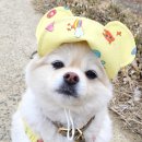 꽃샘길 화장실 이미지