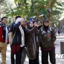주식회사 남이섬