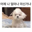뻐끔뻐끔