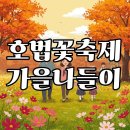 호법 코스모스길 | 가을맞이 호법꽃축제 2024, 먹거리부터 걷기대회까지 완벽 즐기기!