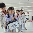 경희대수청태권도
