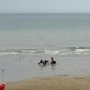 마리나민박 | 을왕리 감성 가득 🌊 ‘솔트캠핑장’ 후기 + 왕산마리나축제 잠깐 들른 이야기