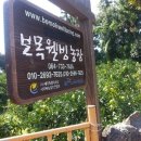 따봉농장 이미지